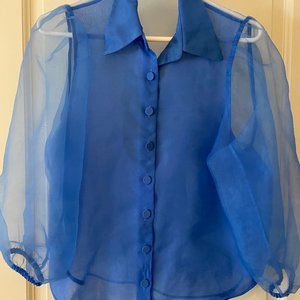 Sheer Blue Blouse